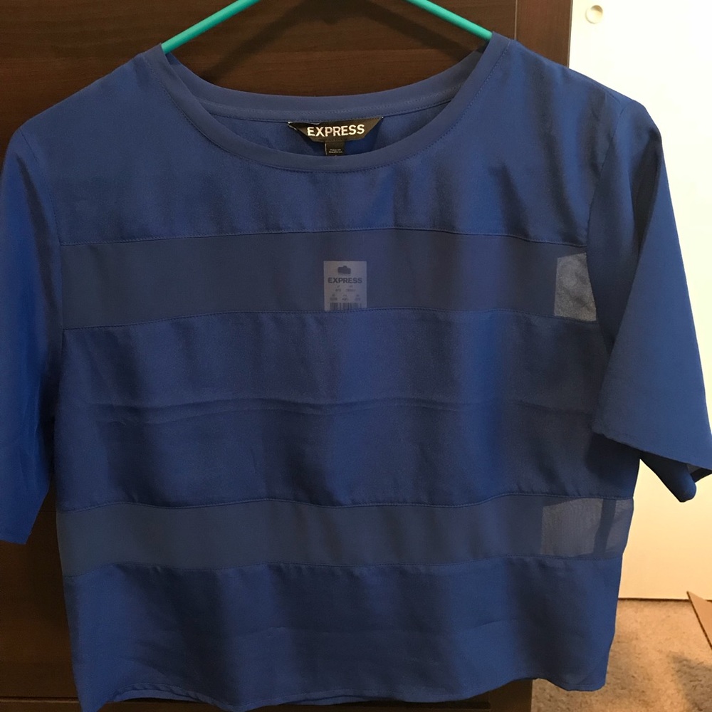 EXPRESS SHEER PANEL CROP TOP SMALL NWT